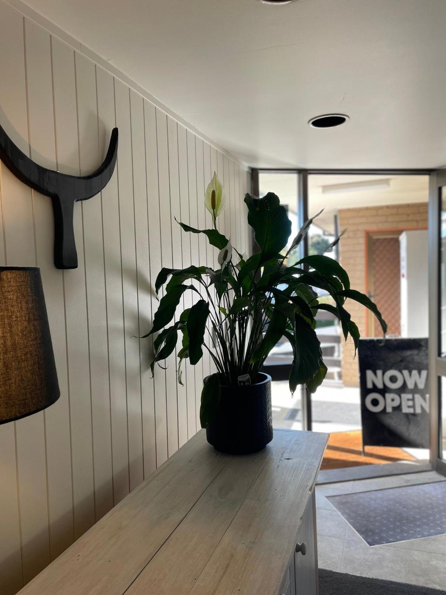 The Black Bull Motel トララルゴン エクステリア 写真